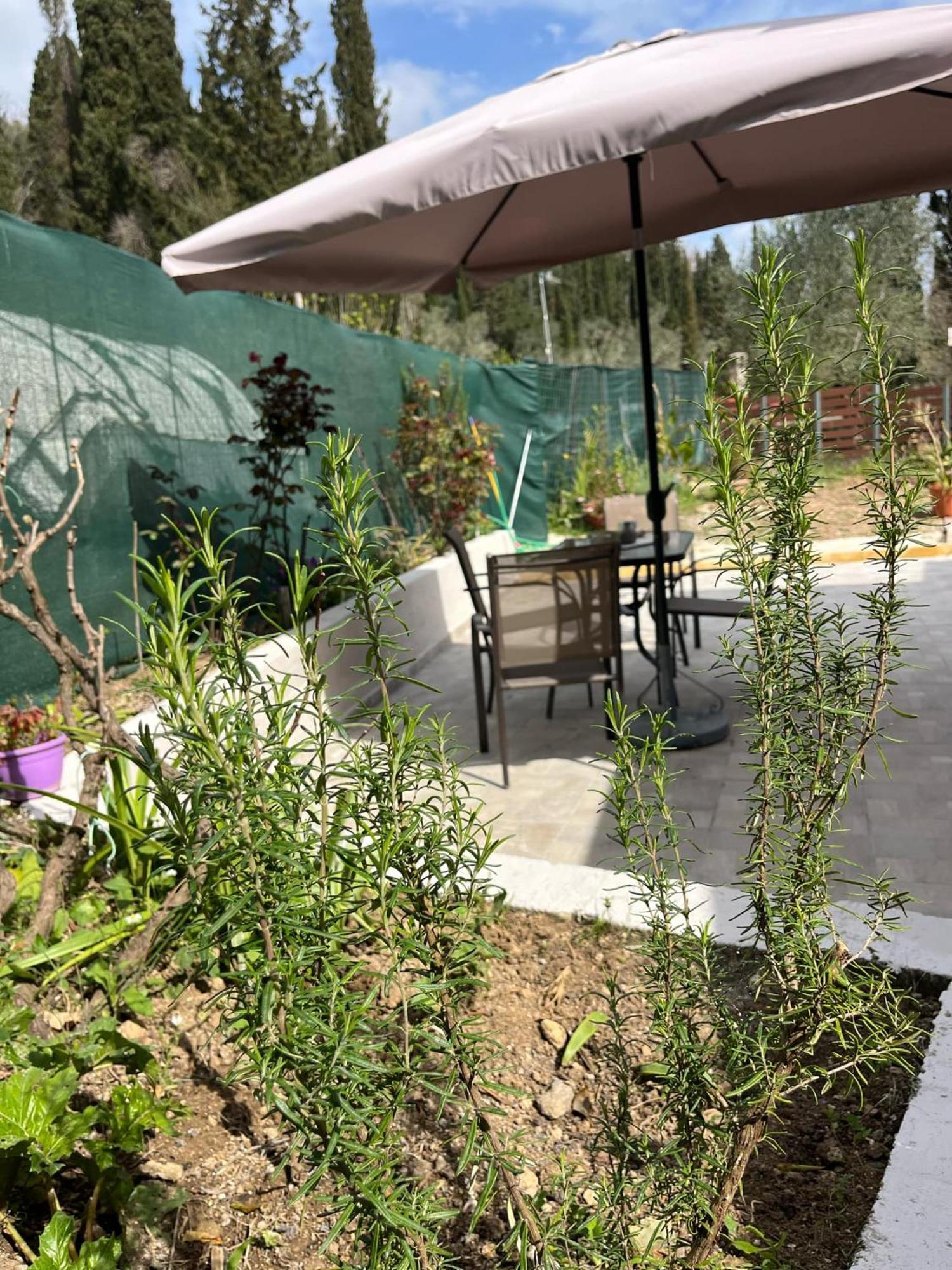 G&Z Cottage Kynopiastai Exterior photo